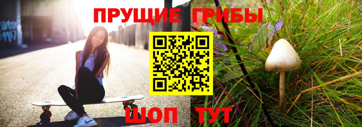 Грязи  Псилоцибиновые грибы Cubensis  Вход с VPN 