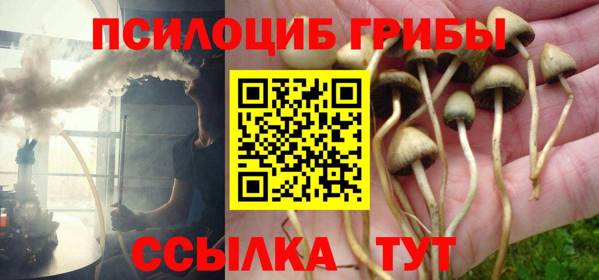Псилоцибиновые грибы мухоморы Грязи